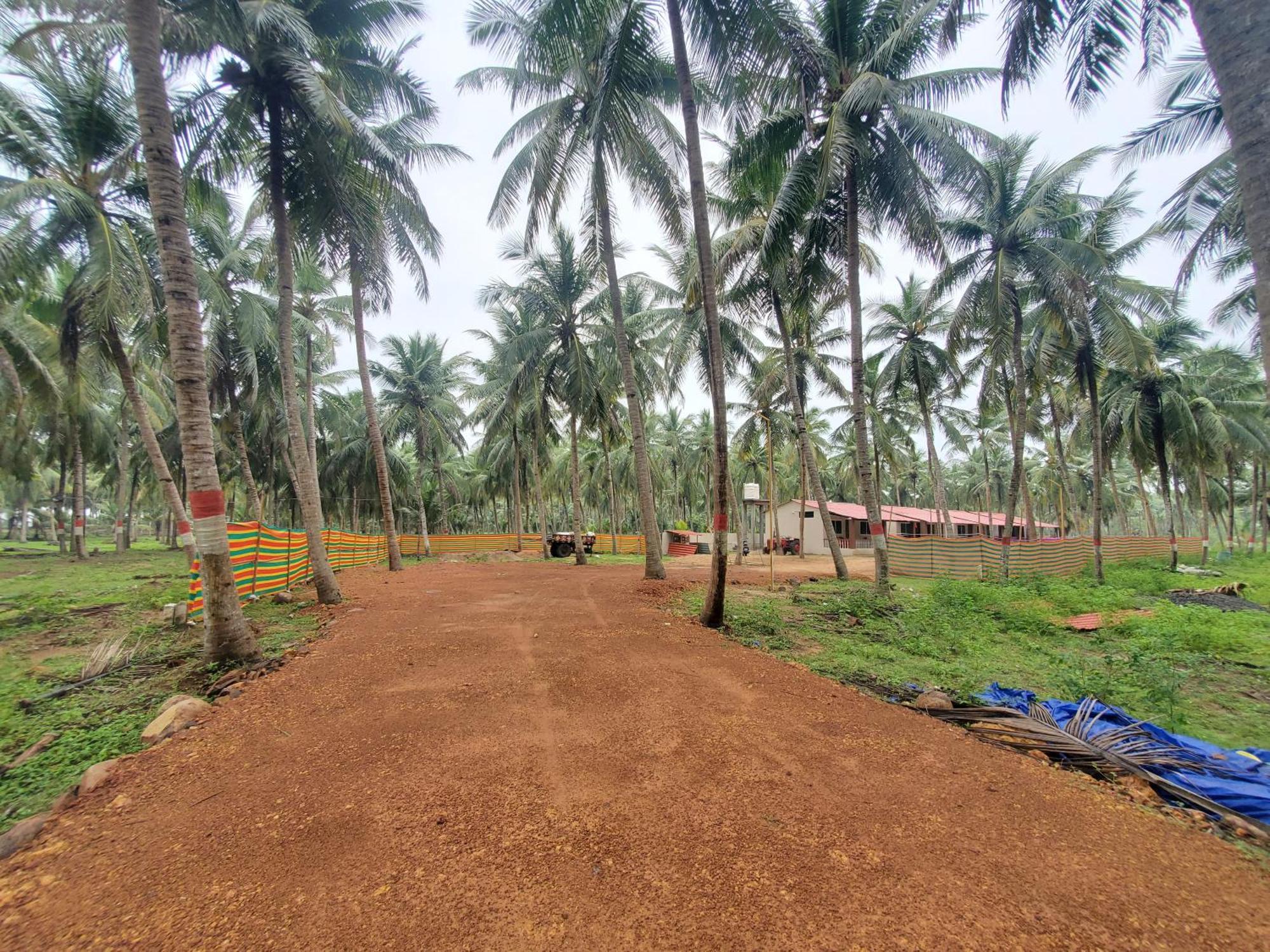 Coastline Beach Resort Perupalem Exterior photo